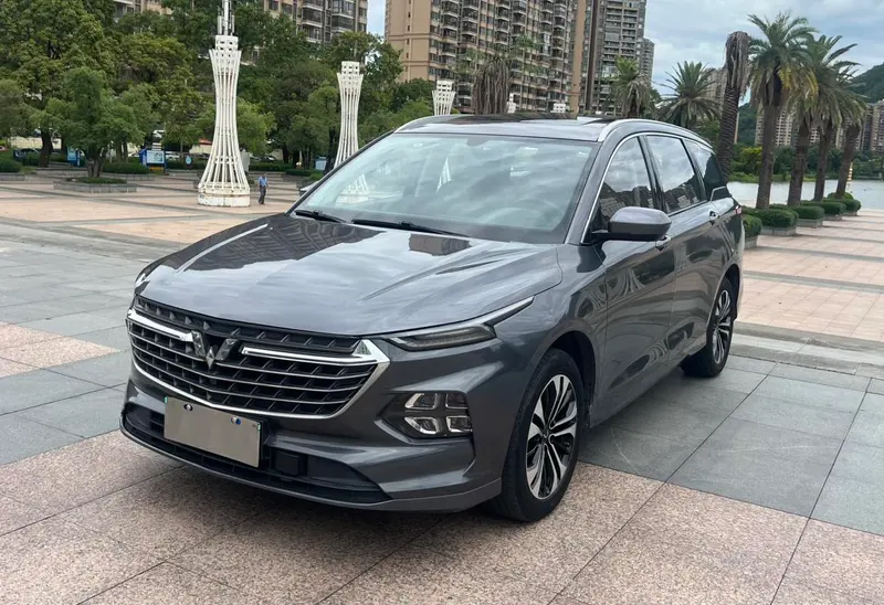Wuling Capgemini Victory, 2020