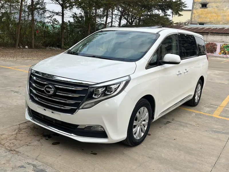 GAC Trumpchi Trumpchi M8 320T Prestige Edition, 2018 — фото 1