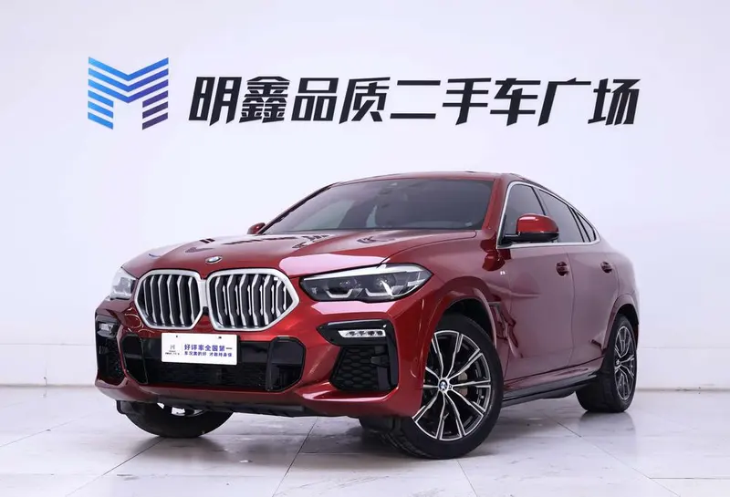 BMW X6 xDrive30i M Sport, 2020 — фото 1