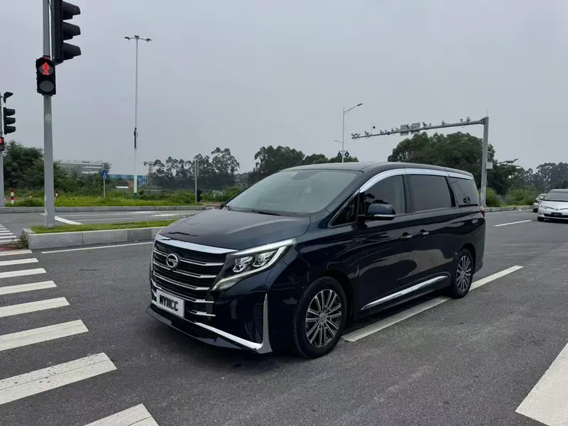 GAC Trumpchi Trumpchi M8 Series 390T Premium Edition, 2021 — фото 1