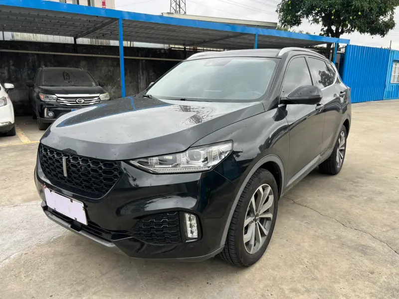 Wey VV6, 2018