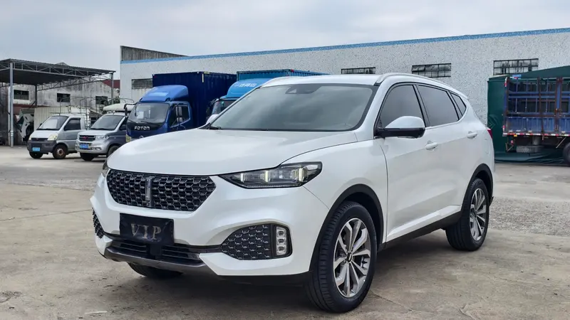 Wey VV6, 2020