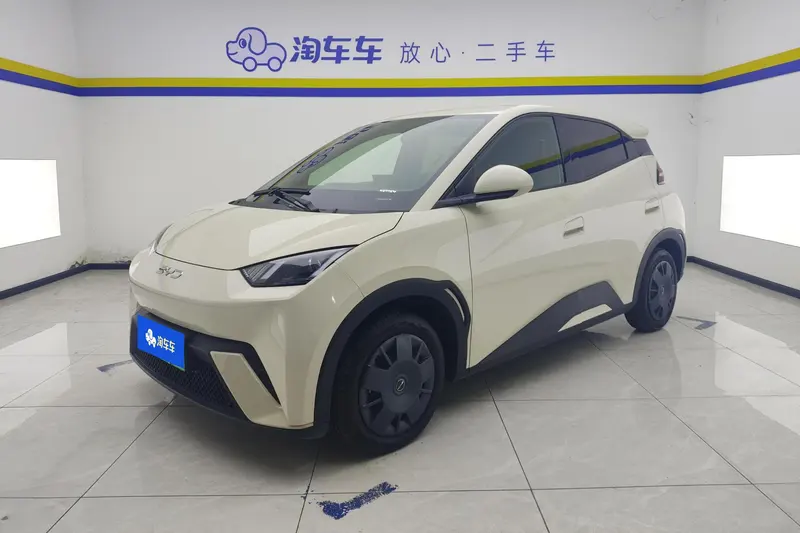 BYD Seagull, 2024