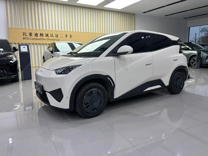 BYD Seagull, 2025