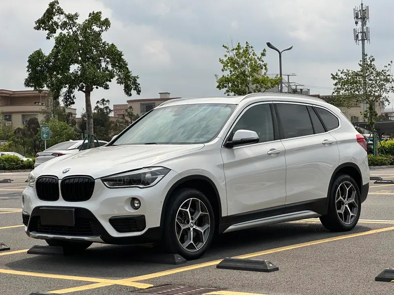BMW X1 xDrive20Li Prestige Version, 2019 — фото 1