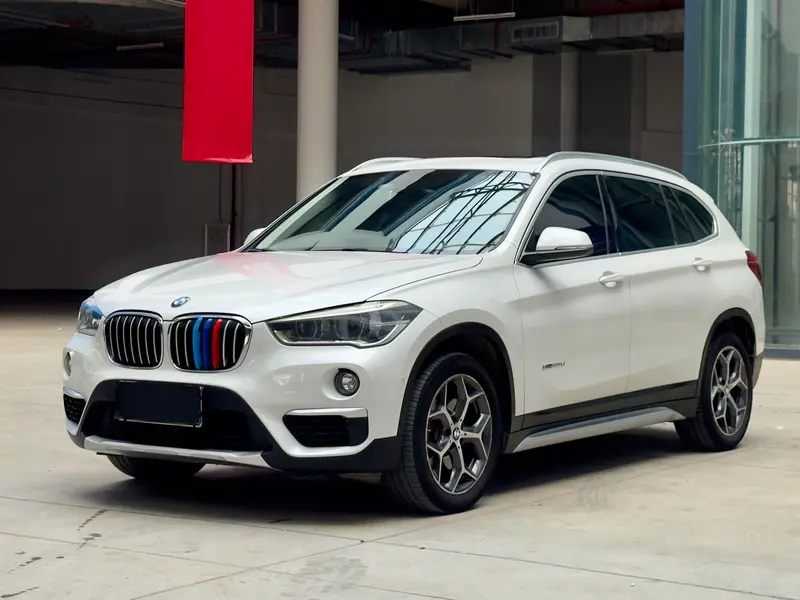 BMW X1 xDrive20Li Prestige Version, 2018 — фото 1