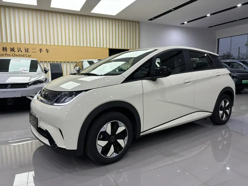 BYD Dolphin 420KM Edition, 2025 — фото 1