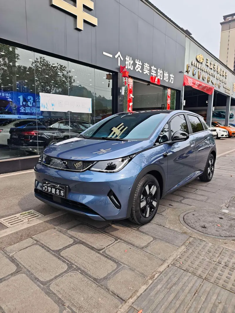 BYD Dolphin Smart Drive Edition 410KM Fashion Edition, 2025 — фото 1
