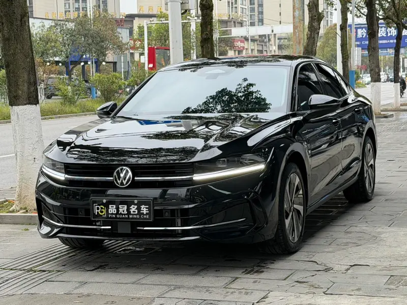 Volkswagen Magotan, 2024