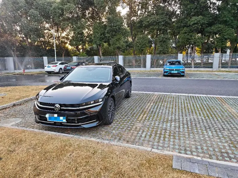 Volkswagen Magotan, 2024