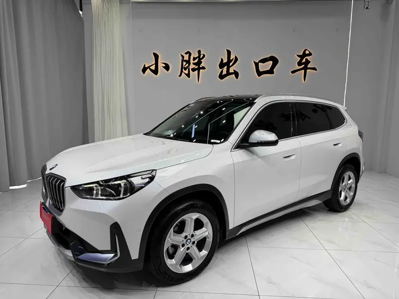 BMW X1 sDrive20Li X, 2023 — фото 1
