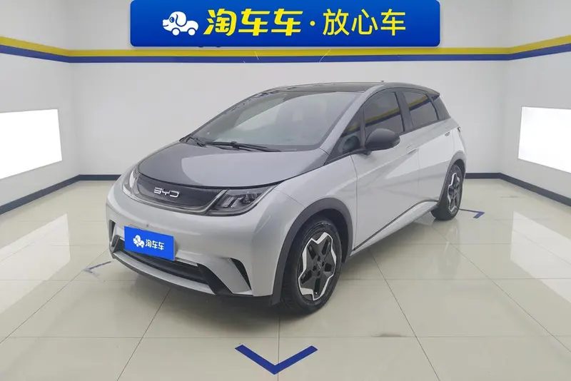 BYD Dolphin Fashion Edition, 2021 — фото 1