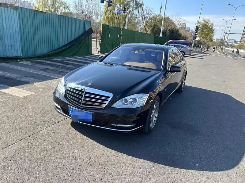 Mercedes-Benz S-Class S 600 L, 2010 — фото 1