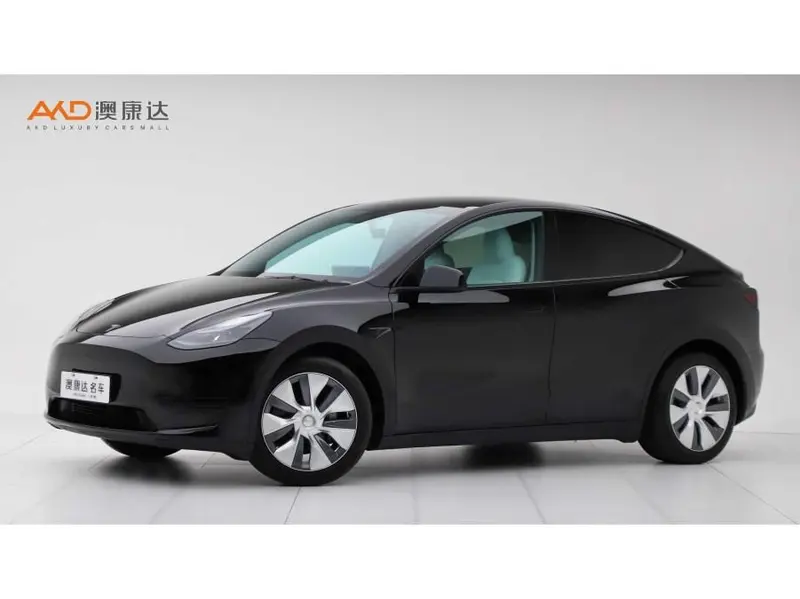 Tesla Model Y, 2022