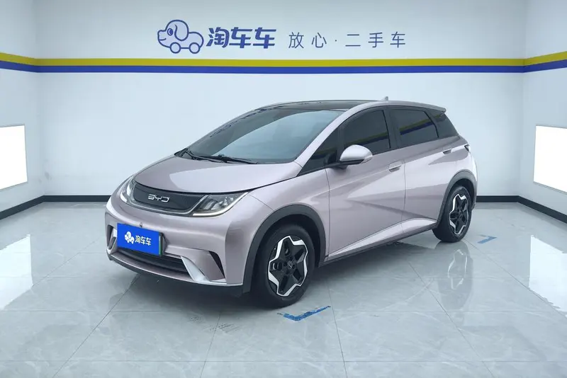 BYD Dolphin Fashion Edition, 2021 — фото 1