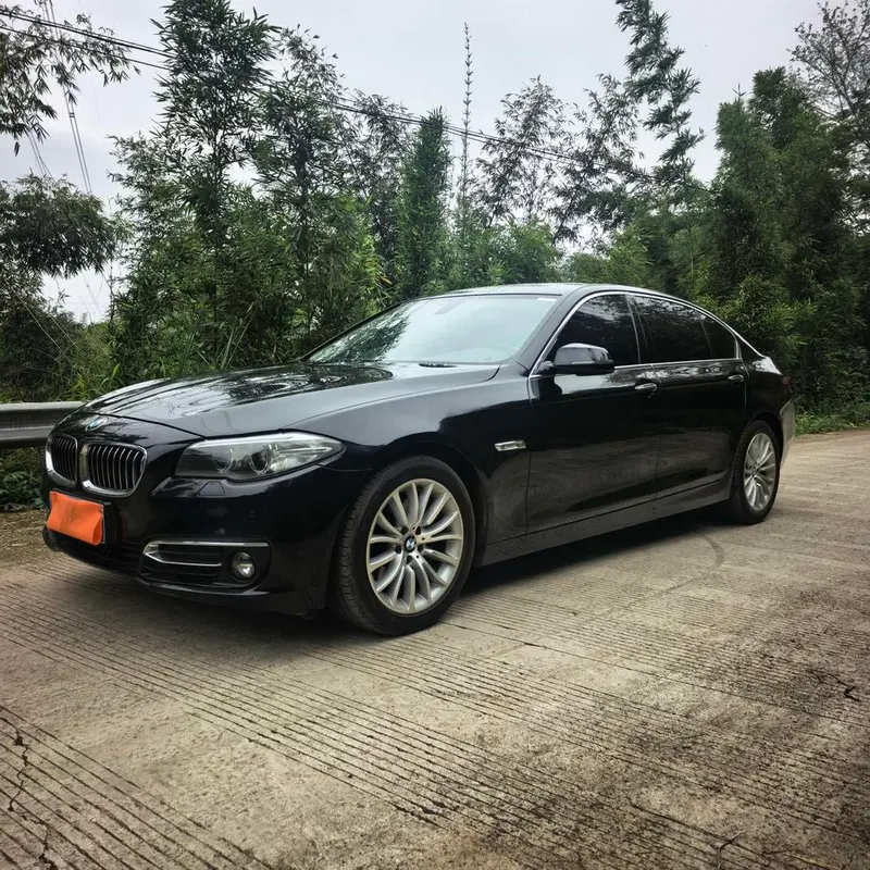 BMW 5-Series, 2014