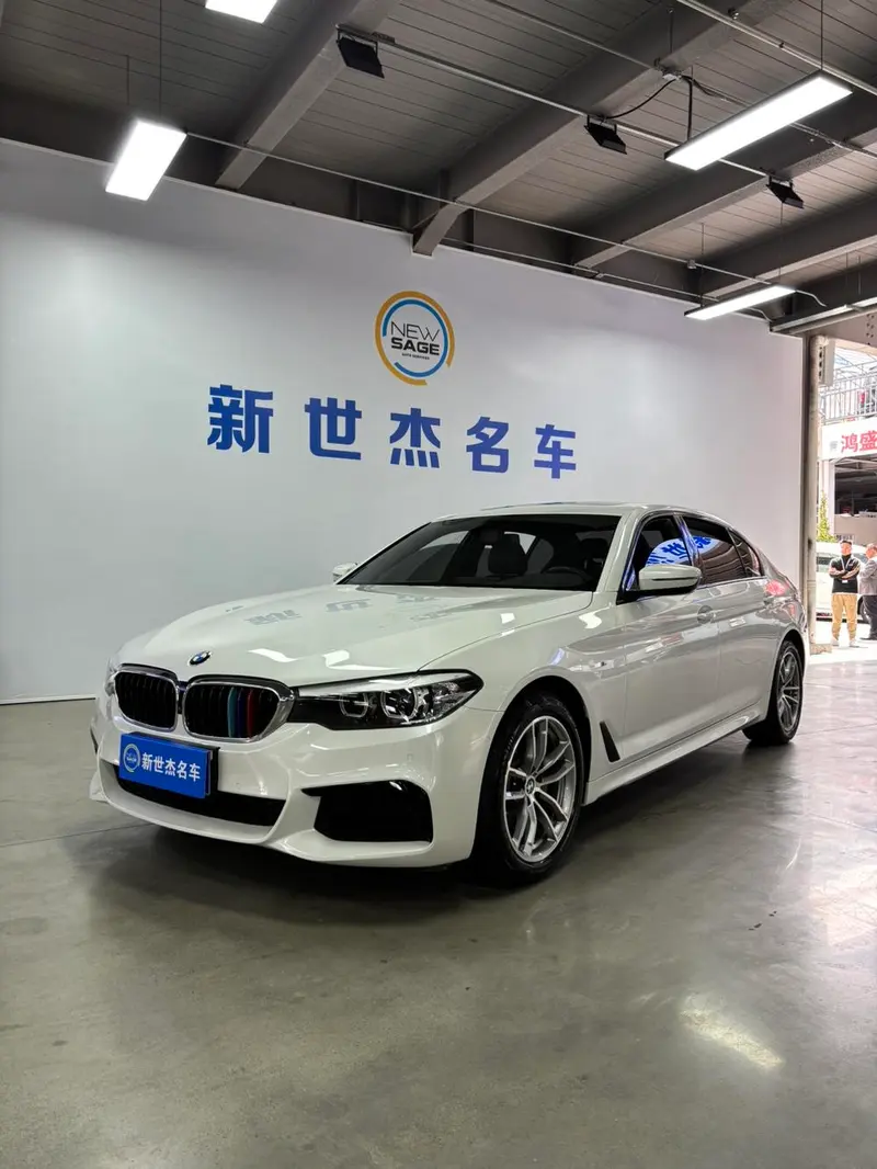 BMW 5-Series Facelift 525Li M Sport, 2019 — фото 1