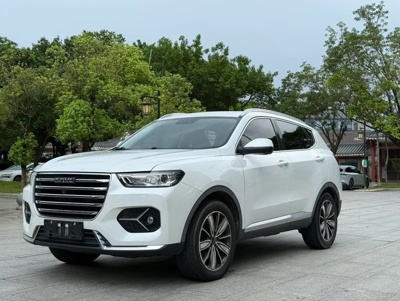 Haval H6, 2021