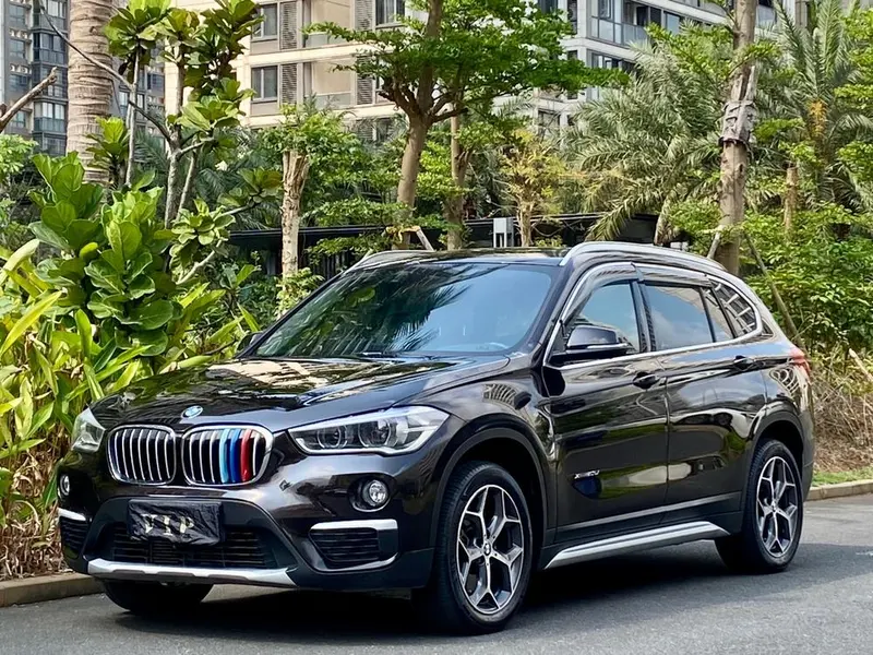 BMW X1 xDrive20Li Luxury Version, 2018 — фото 1