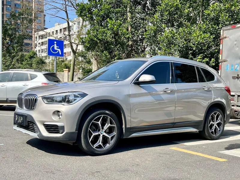 BMW X1 xDrive20Li Prestige Version, 2019 — фото 1