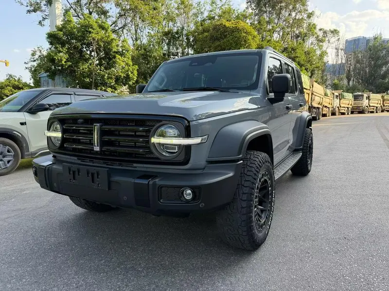 Tank 300, 2021