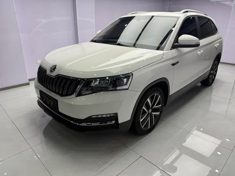 Skoda Kamiq 1.5L Auto Edition, 2022 — фото 1