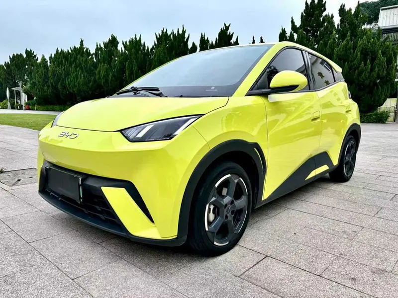 BYD Seagull Glory Edition 405KM Edition, 2024 — фото 1