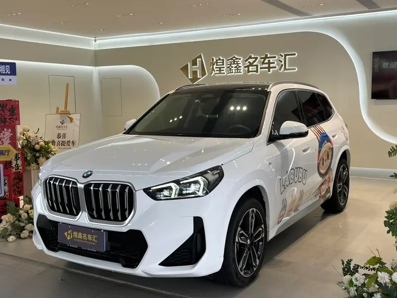 BMW X1 sDrive25Li M Sport, 2025 — фото 1