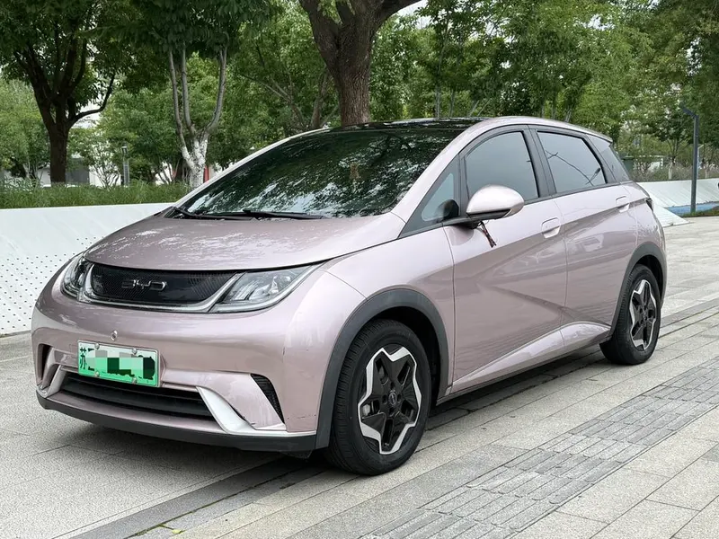 BYD Dolphin Fashion Edition, 2021 — фото 1