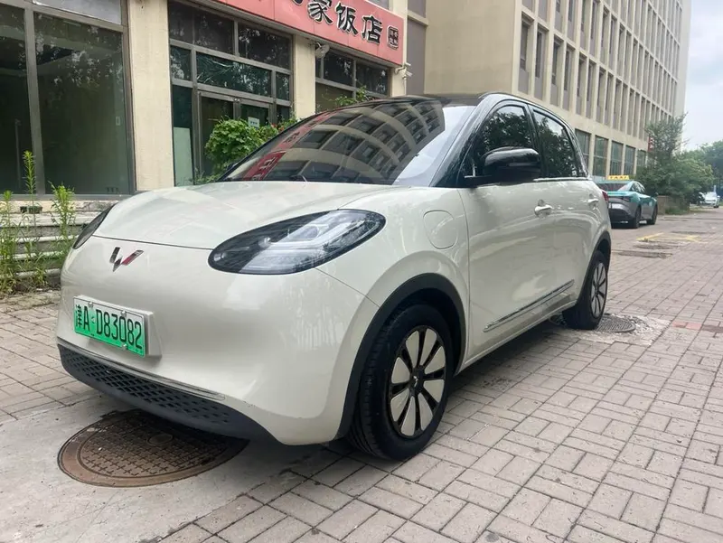 Wuling Bingo, 2023