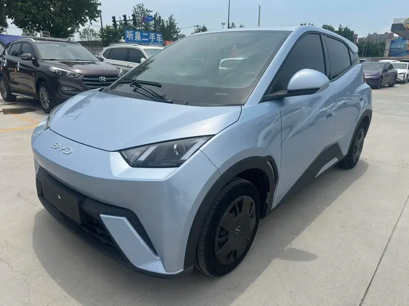 BYD Seagull Glory Edition 305KM Edition, 2024 — фото 1