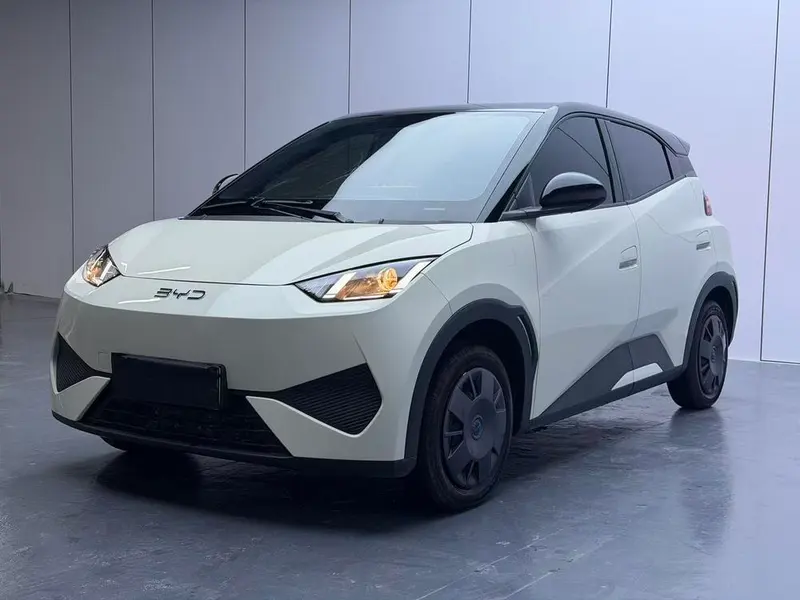 BYD Seagull, 2025
