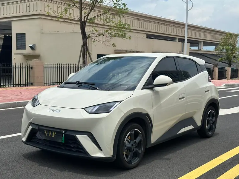 BYD Seagull Glory Edition 305KM Edition, 2024 — фото 1