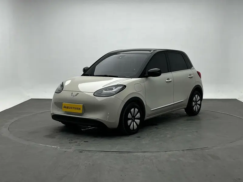 Wuling Bingo, 2023
