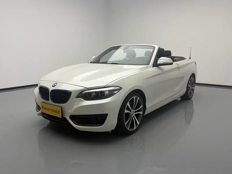 BMW 2-Series (Import), 2019