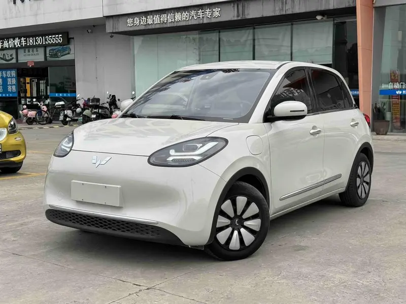 Wuling Bingo, 2023