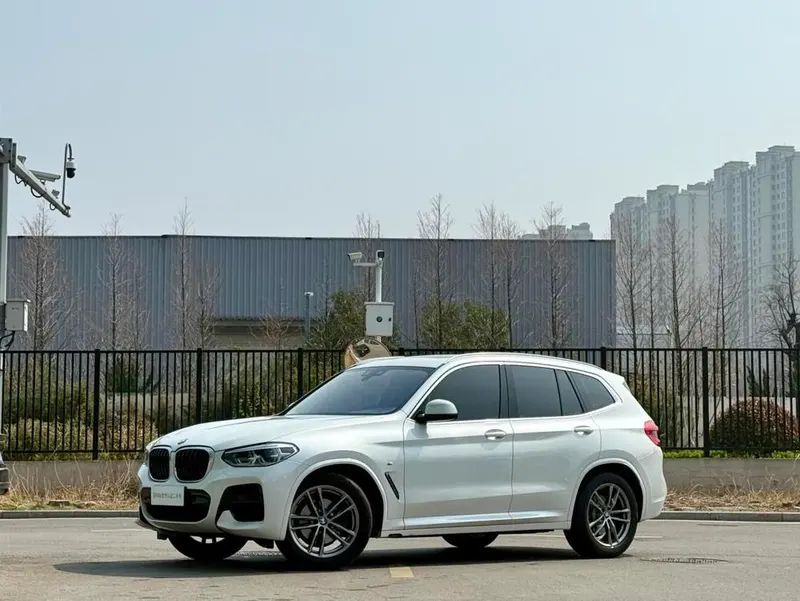 BMW X3 xDrive25i Luxury, 2021 — фото 1