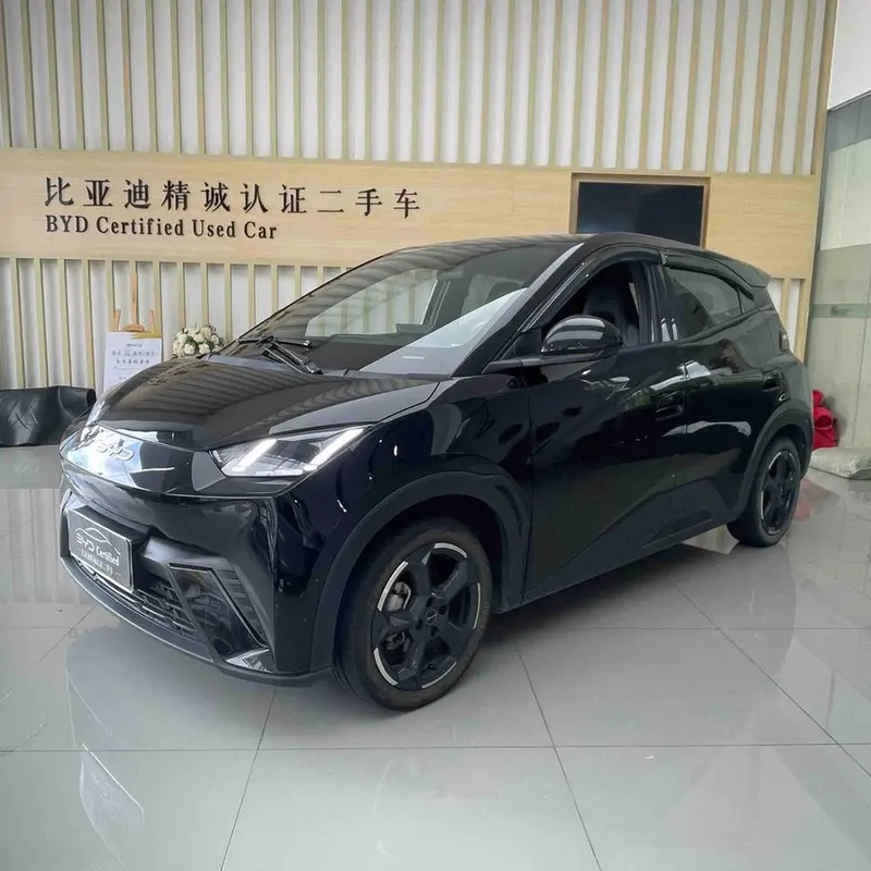 BYD Seagull, 2024