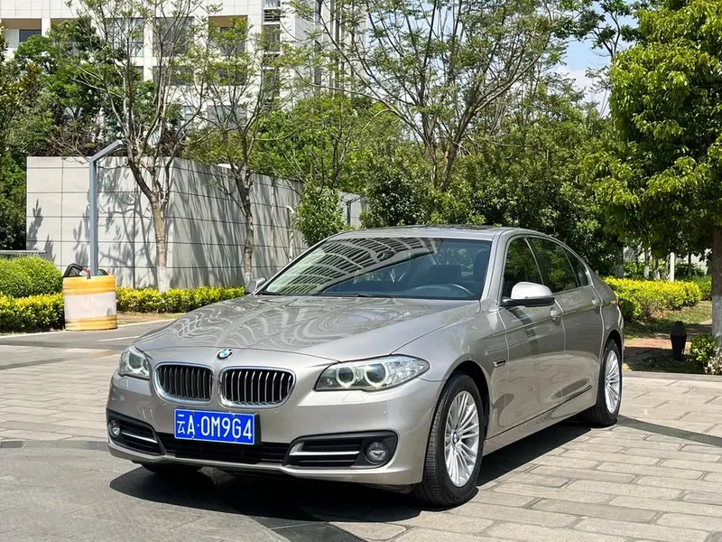 BMW 5-Series, 2017