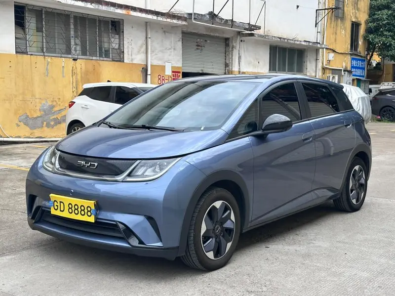BYD Dolphin Glory Edition 420km Edition, 2024 — фото 1
