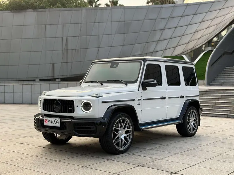 Mercedes-Benz G-Class G 500, 2020 — фото 1