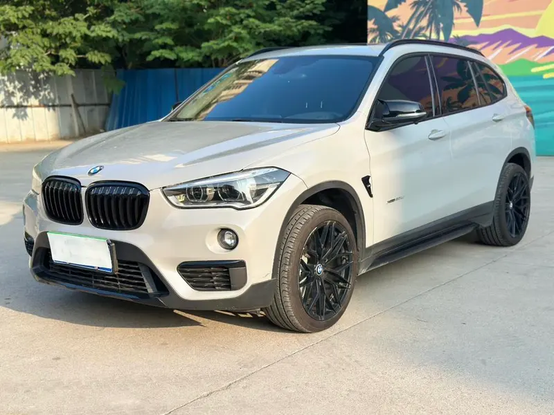 BMW X1 xDrive20Li Prestige Version, 2018 — фото 1