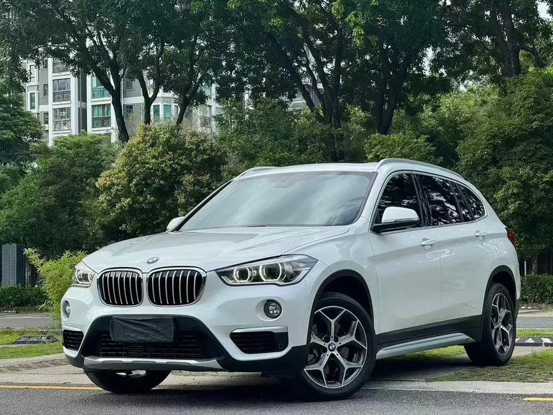 BMW X1 xDrive20Li Luxury Version, 2019 — фото 1