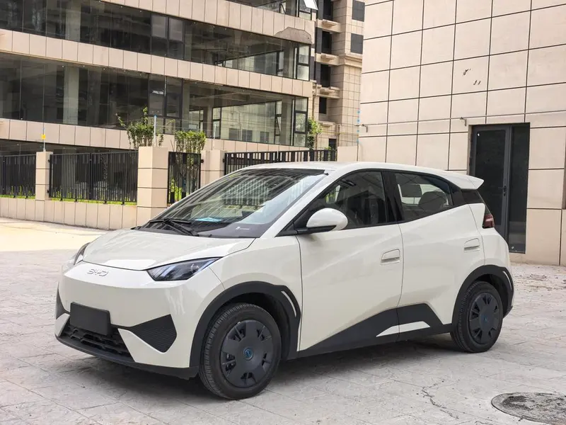 BYD Seagull, 2025