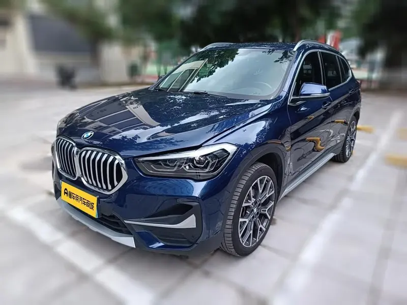 BMW X1 xDrive25Li Prestige Version, 2020 — фото 1