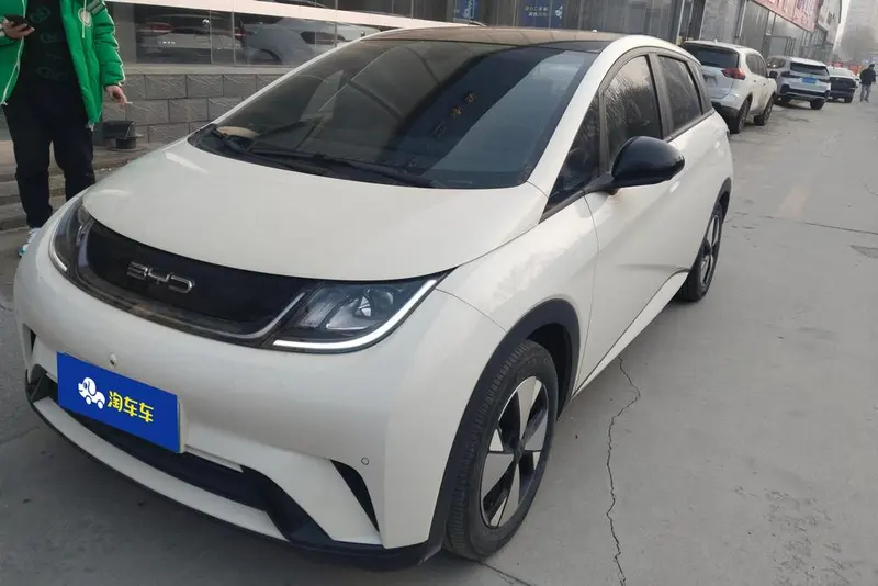 BYD Dolphin Fashion Edition, 2023 — фото 1