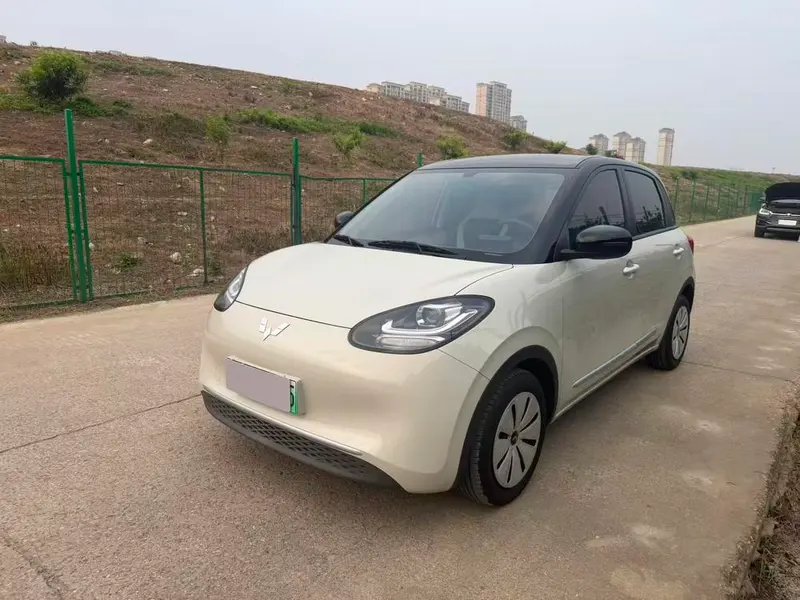 Wuling Bingo, 2023