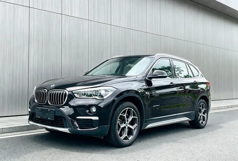 BMW X1 xDrive20Li Prestige Version, 2018 — фото 1