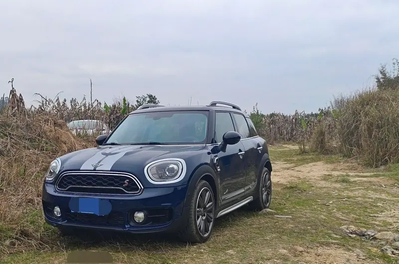 MINI COUNTRYMAN 2.0T COOPER S ALL4 Artist, 2018 — фото 1
