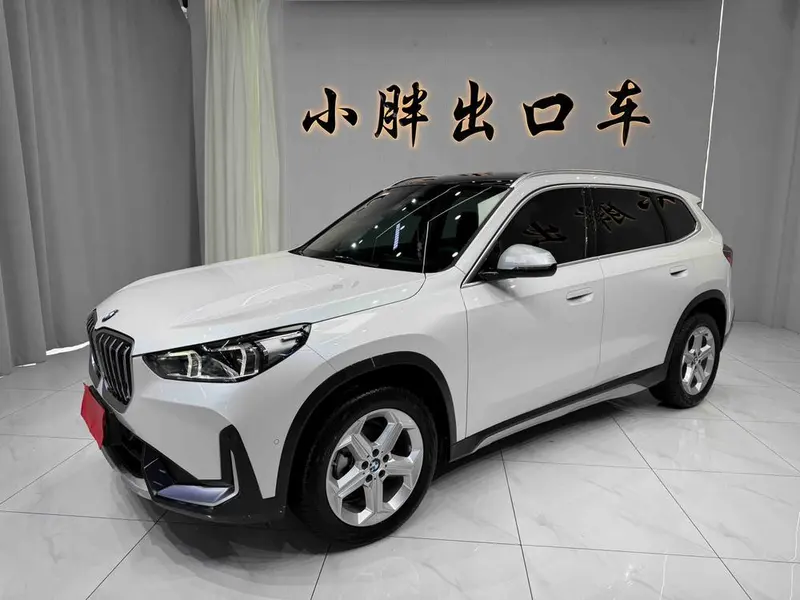 BMW X1 sDrive20Li X, 2023 — фото 1